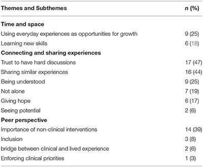 Diary of a Mental Health Peer Worker: Findings From a Diary Study Into the Role of Peer Work in a Clinical Mental Health Setting